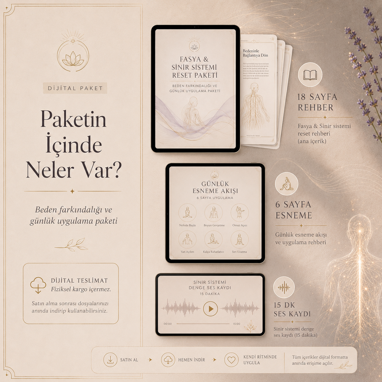 Fasya & Sinir Sistemi Reset Paketi – Dijital Paket